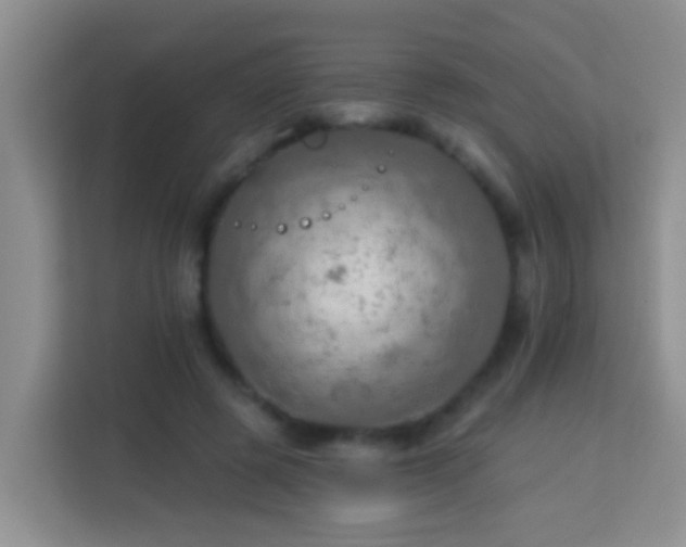 X0000114080545200910051401