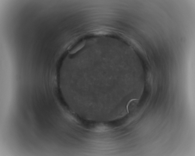 X0000114080547200910051401