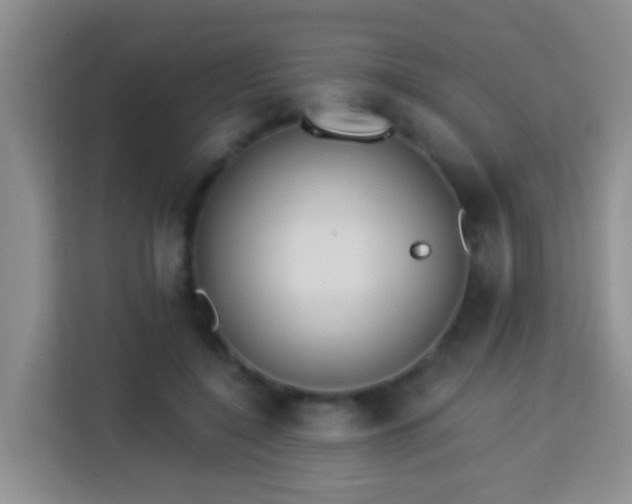 X0000114080548200910051401