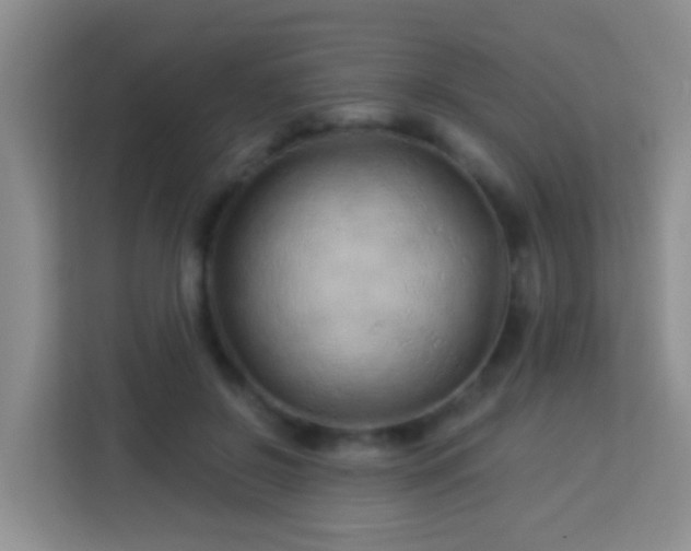 X0000114080550200910051401