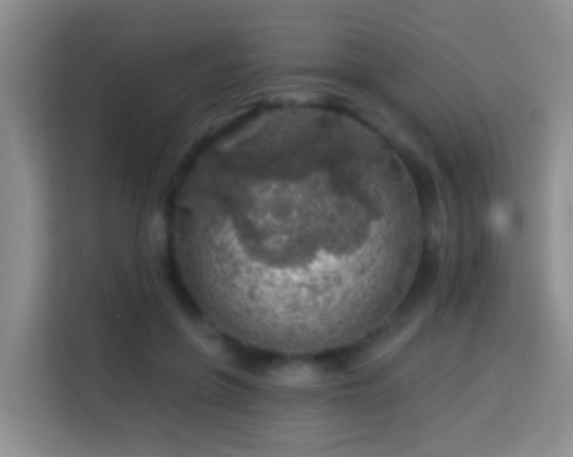 X0000114080551200910051401