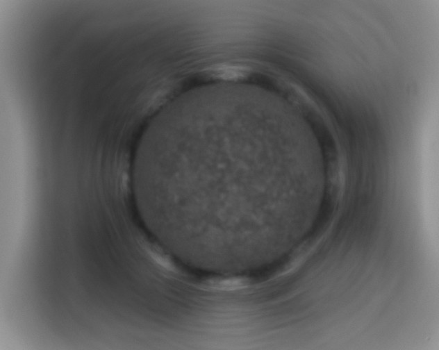 X0000114080553200910051401