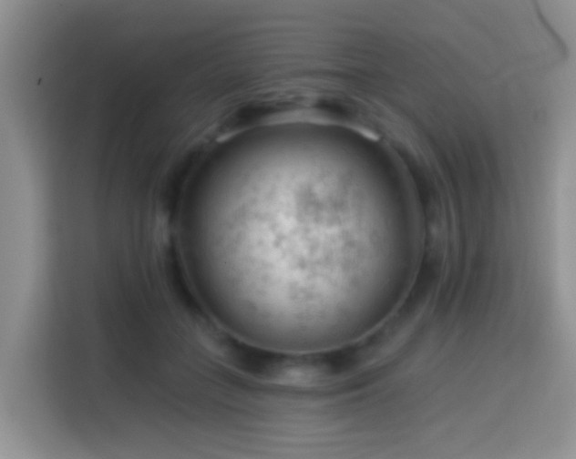 X0000114080555200910051401