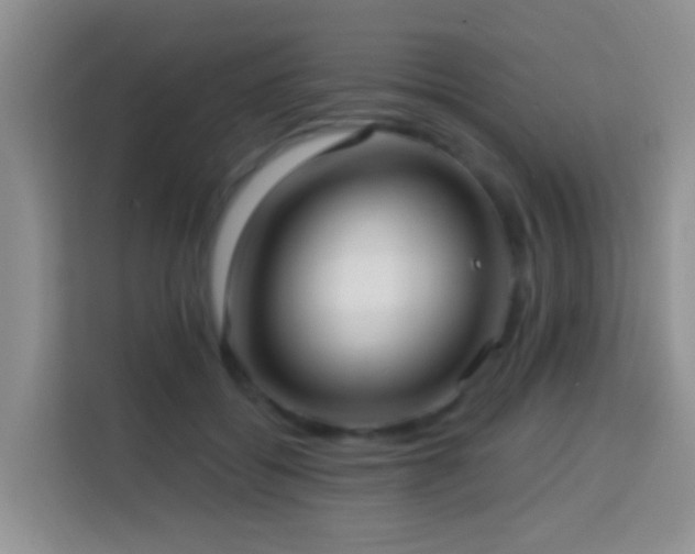 X0000114080556200910051401