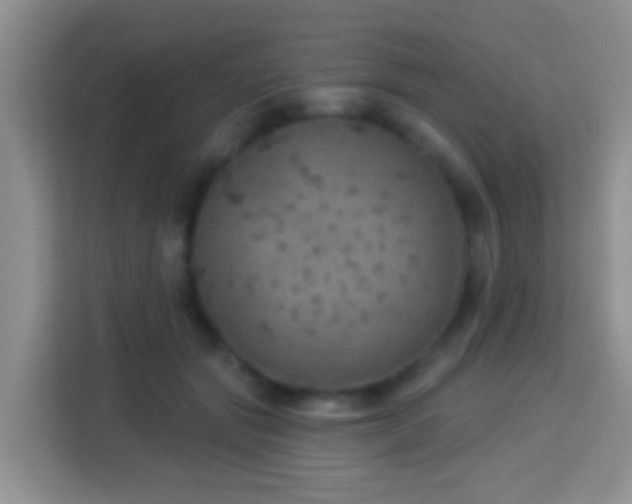 X0000114080557200910051401