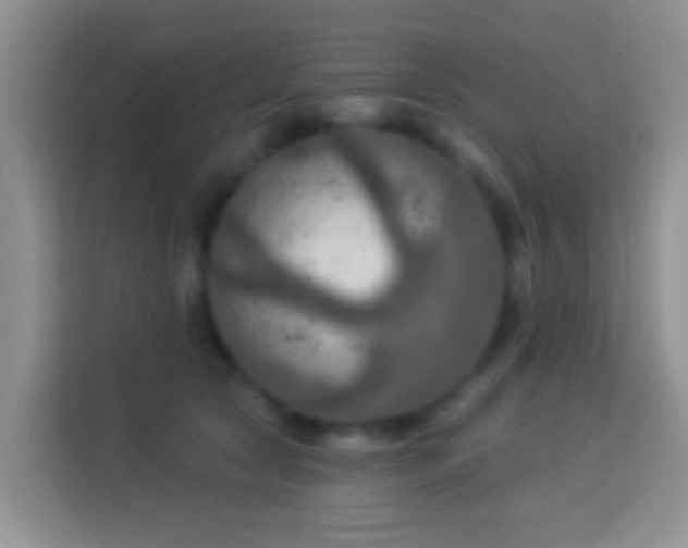 X0000114080561200910051401