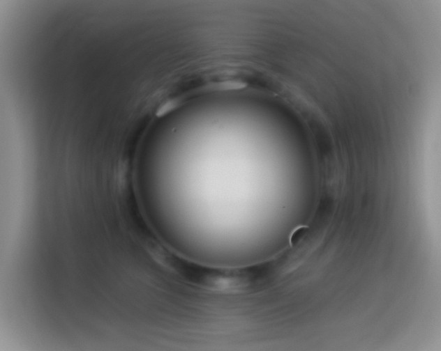 X0000114080563200910051401