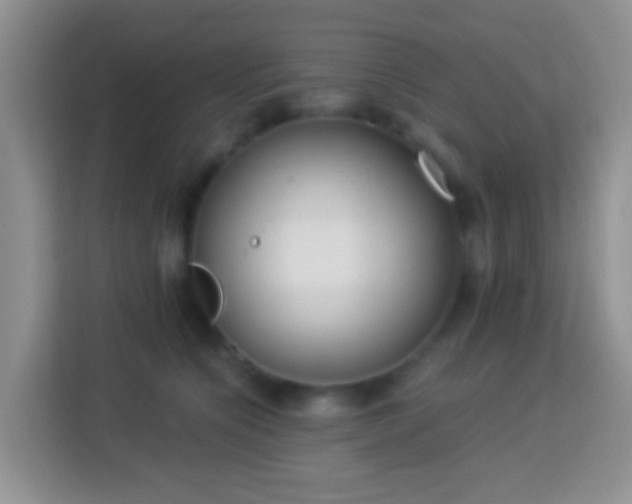 X0000114080564200910051401