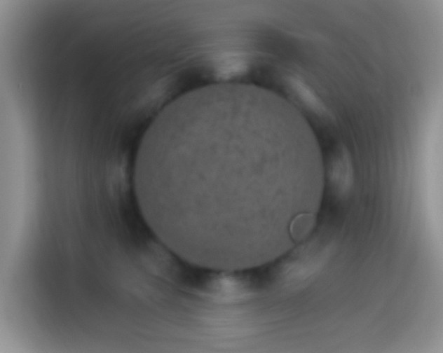 X0000114080565200910051401