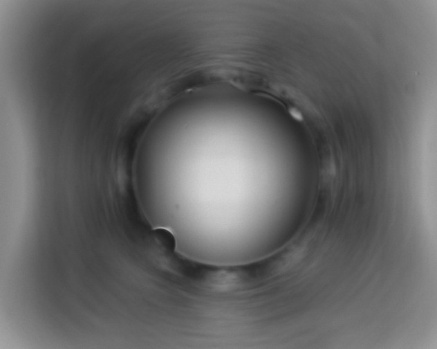 X0000114080566200910051401