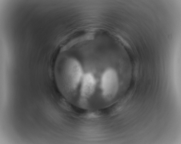 X0000114080569200910051401