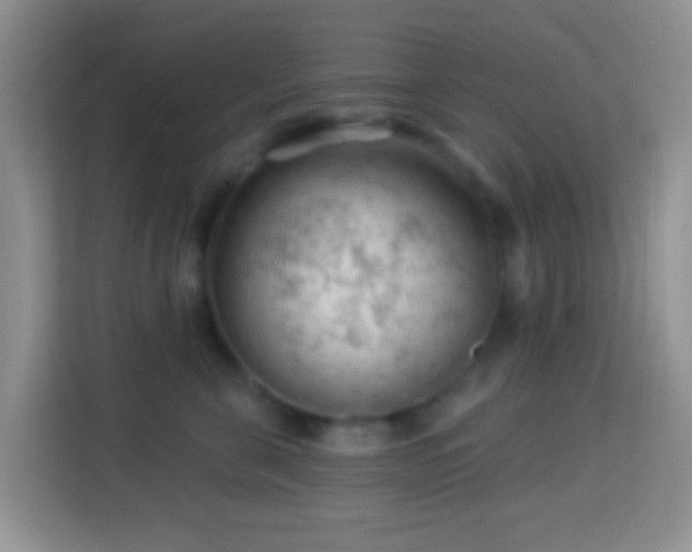 X0000114080571200910051401