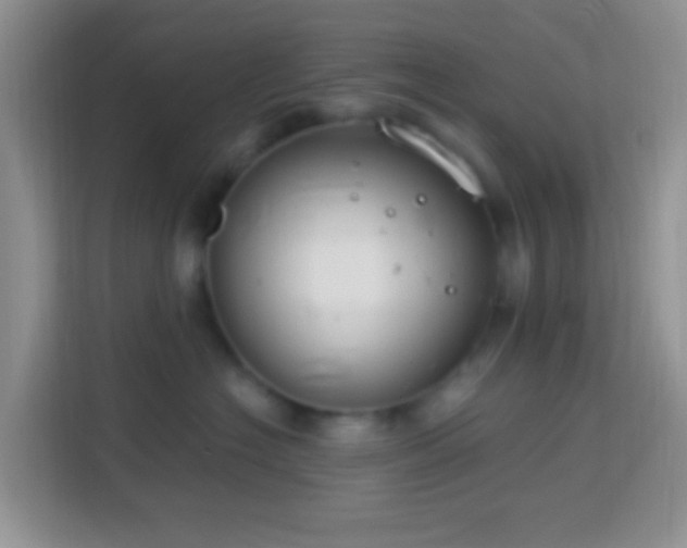 X0000114080574200910051401