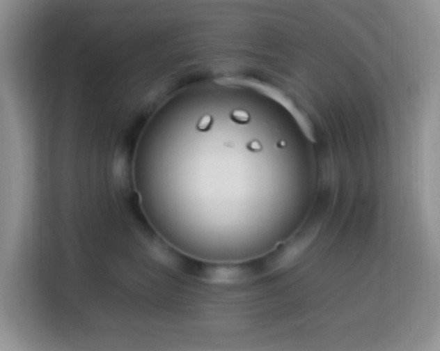 X0000114080575200910051401