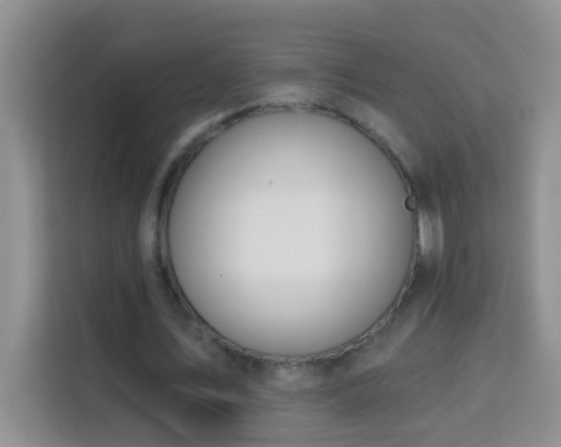 X0000114080579200910051400