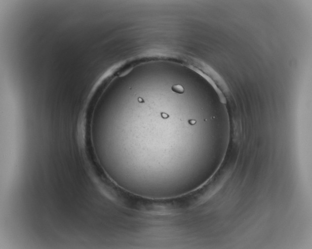 X0000114080580200910051400