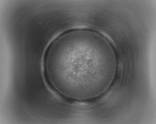 X0000114080582200910051400