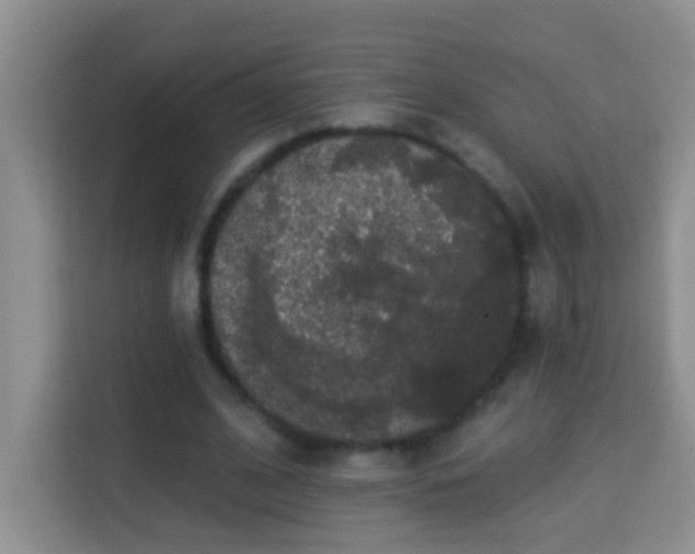 X0000114080584200910051400