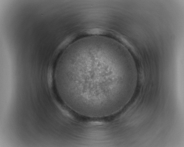 X0000114080586200910051400