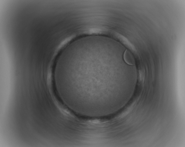 X0000114080588200910051400