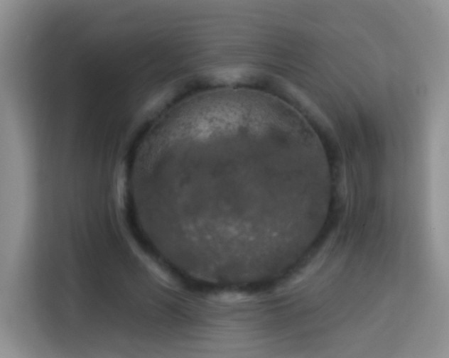 X0000114080590200910051400