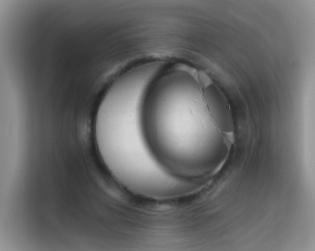 X0000114080592200910051400