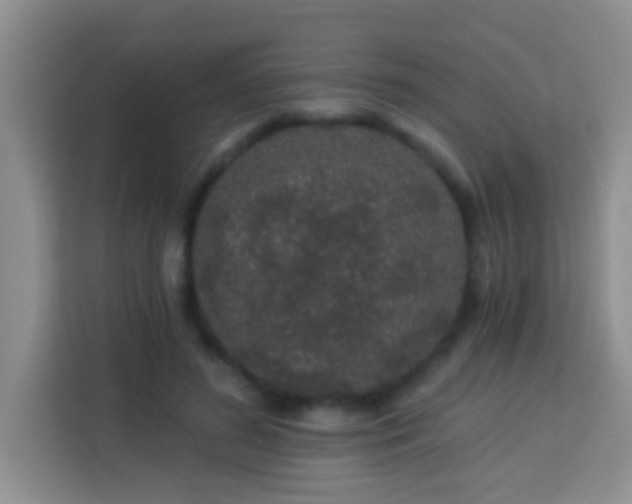 X0000114080596200910051400