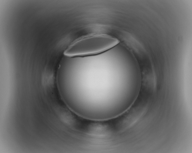 X0000114080597200910051400