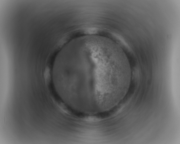 X0000114080598200910051400