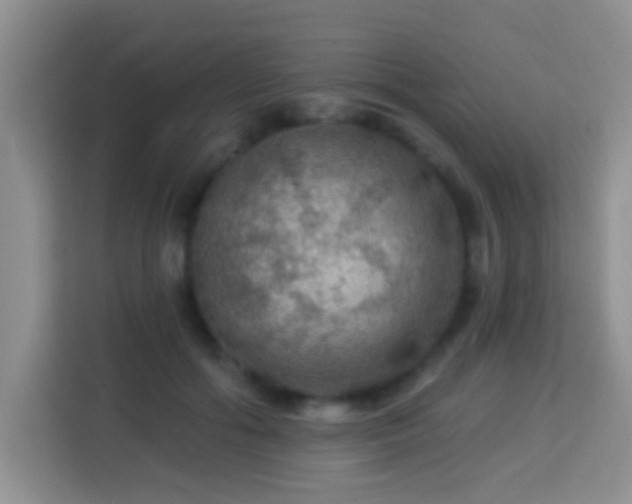 X0000114080602200910051400