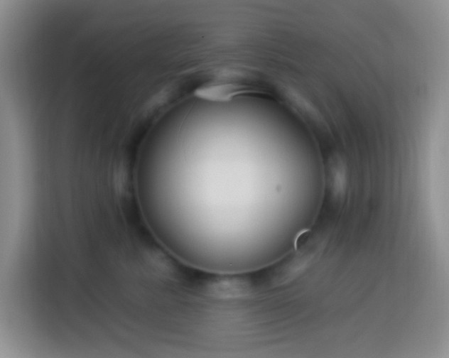 X0000114080619200910051400