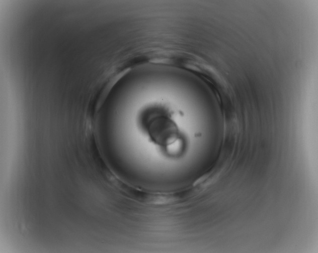 X0000114080621200910051400