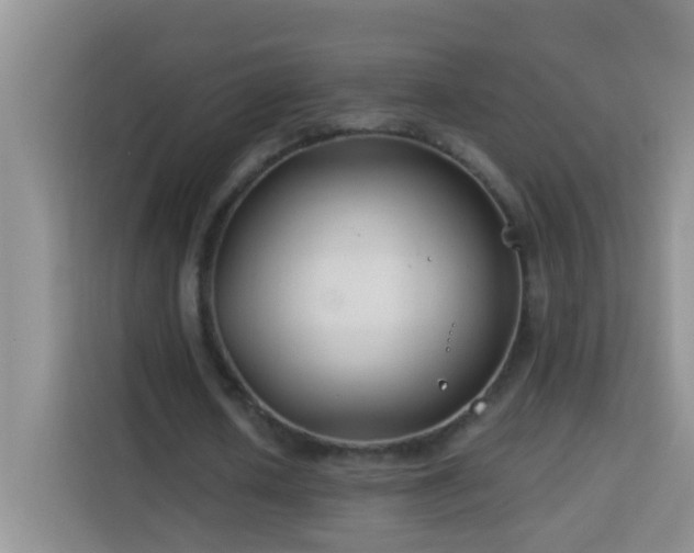 X0000114080626200910051359