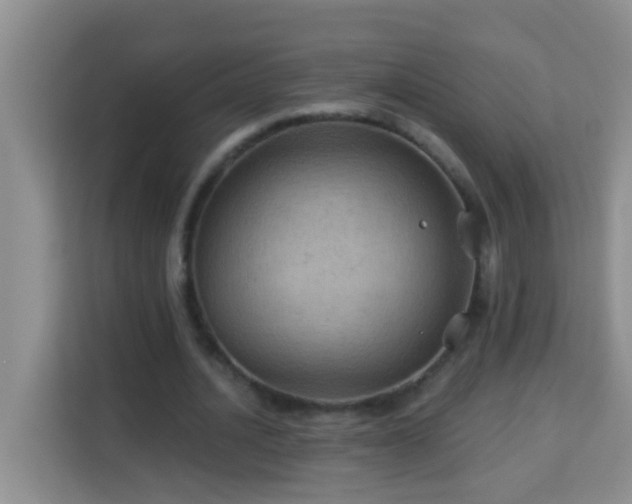 X0000114080628200910051359