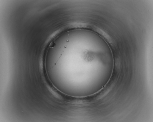 X0000114080629200910051359