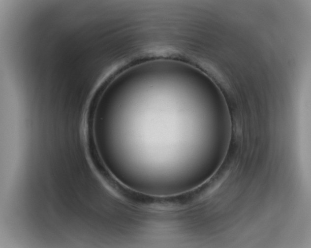 X0000114080630200910051359