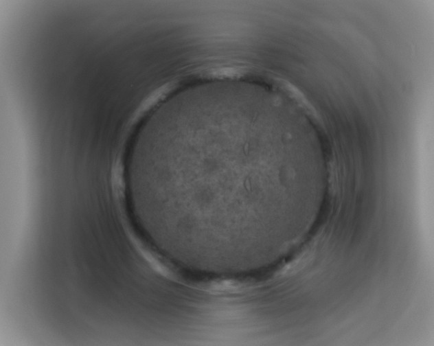 X0000114080634200910051359