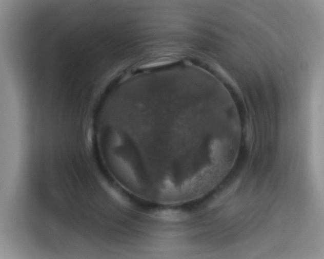 X0000114080637200910051359