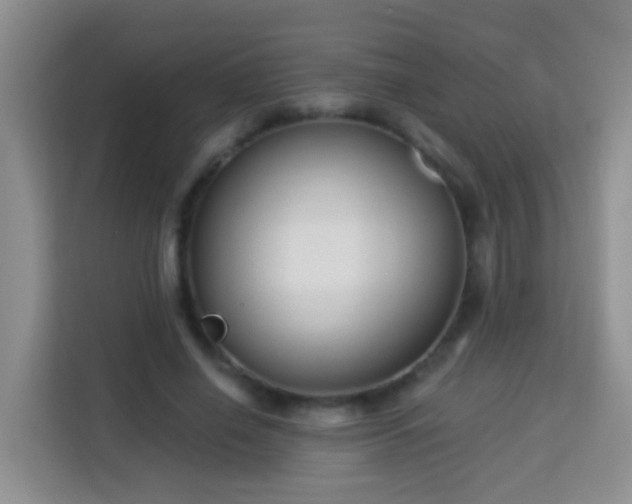 X0000114080638200910051359