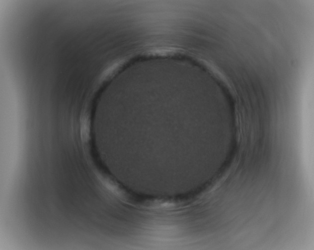 X0000114080640200910051359