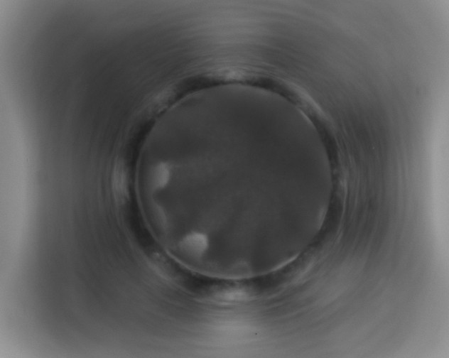 X0000114080643200910051359