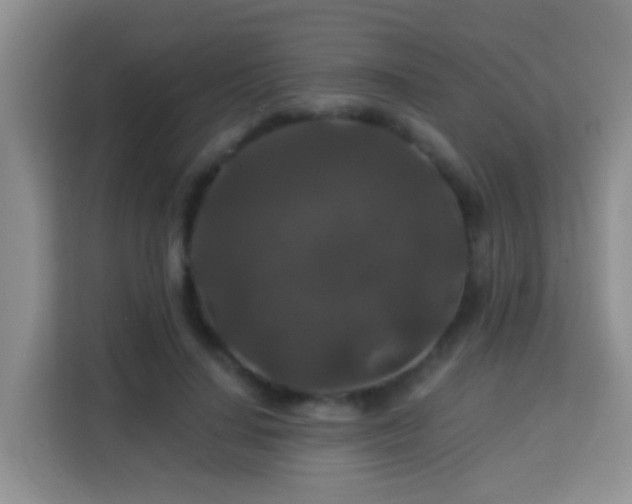 X0000114080644200910051359