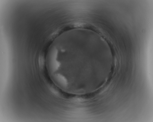 X0000114080648200910051359