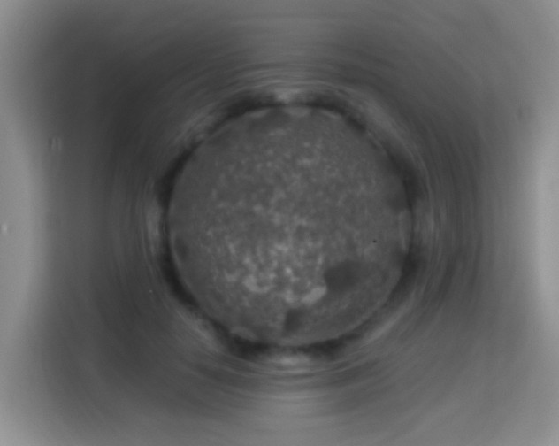 X0000114080650200910051359