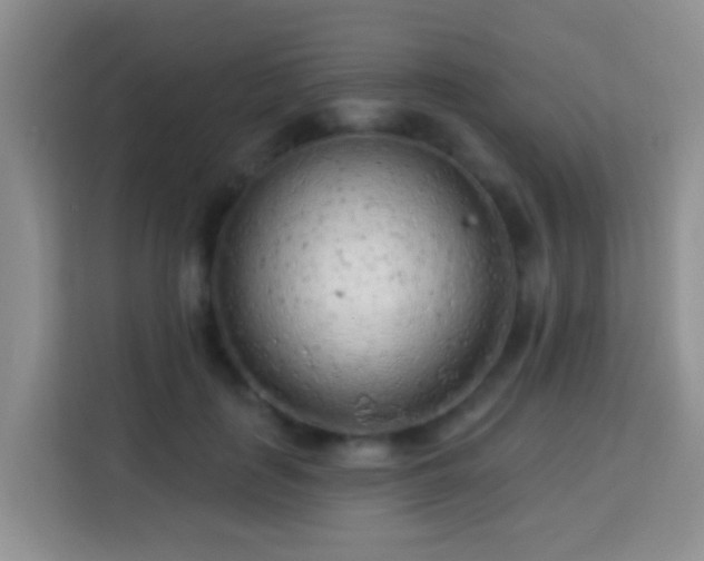 X0000114080651200910051359