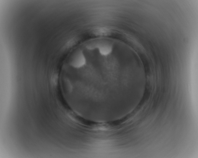 X0000114080652200910051359