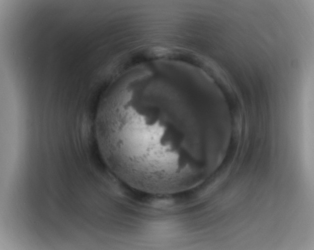 X0000114080653200910051359