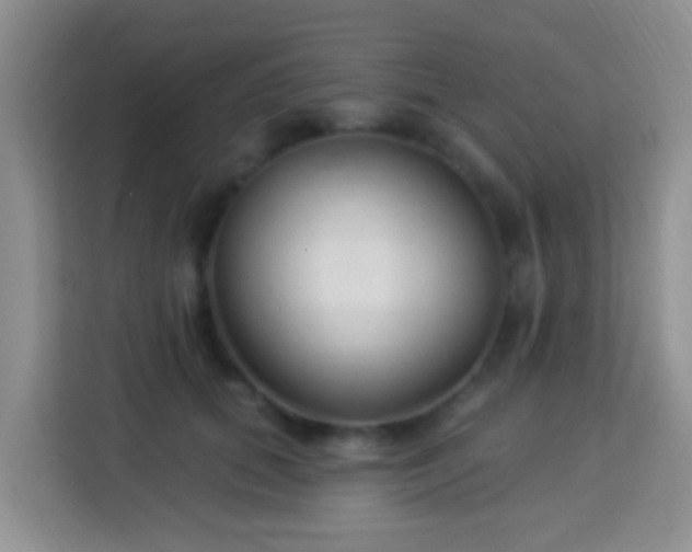 X0000114080655200910051359