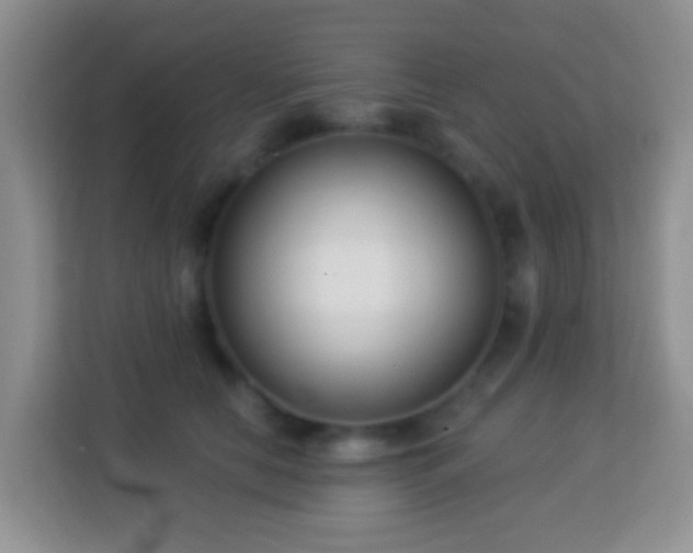 X0000114080658200910051359