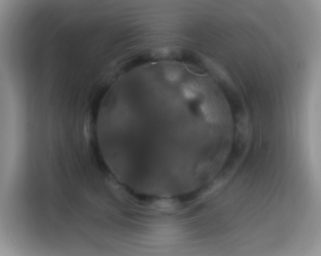 X0000114080659200910051400